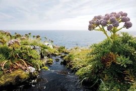 Vẻ đẹp nguyên thủy của quần đảo hoang sơ nhất thế giới 