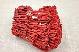 Cấu trúc kỳ lạ của sinh vật có vẻ ngoài giống hệt đàn organ 