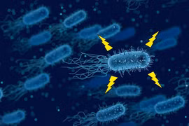Tiềm năng ứng dụng kỳ diệu của vi khuẩn sản xuất điện 