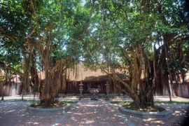 Kho tàng vô giá của ngôi chùa cổ có kiến trúc nguyên bản nhất Việt Nam 