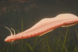 Sinh vật được coi là 'ông tổ' của mọi loài động vật có xương sống 