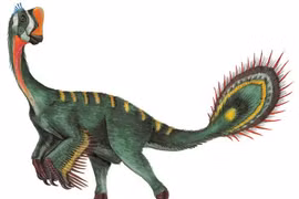 Cấu trúc đuôi dị biệt của sinh vật được phát hiện ở Mông Cổ năm 2000 