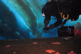 40 lỗ thở bí ẩn dưới đáy biển Nam Cực cảnh báo hiểm họa toàn cầu