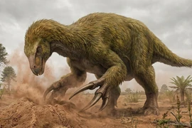 Móng vuốt của loài khủng long mang tên một thành phố của Trung Quốc