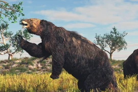 Ác mộng loài vật đứng 2 chân, cao 6 mét, đầy móng sắc nhọn