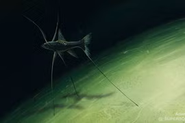 Cận cảnh loài cá ba chân kỳ lạ sống dưới đáy đại dương sâu thẳm 