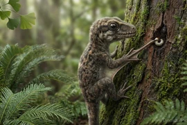 Khủng long tí hon sống trên cây như khỉ với cánh tay dài kỳ lạ