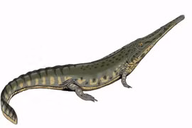 Lưỡng cư cổ đại như cá sấu từng thống trị đầm lầy xưa