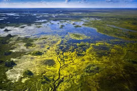 Chiêm ngưỡng kỳ quan thiên nhiên độc nhất vô nhị của Botswana
