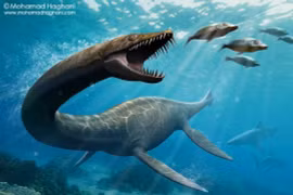 Kinh sợ loài quái vật được mệnh danh "Chúa tể biển sâu" kỷ Phấn Trắng 