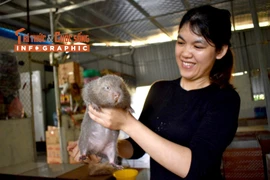 [INFOGRAPHIC]: Loài ‘chuột’ béo múp, nặng gần một cân của Việt Nam