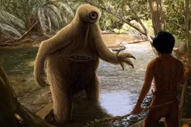 Sinh vật huyền bí đáng sợ nhất Amazon, mùi hôi khủng khiếp 