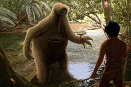 Sinh vật huyền bí đáng sợ nhất Amazon, mùi hôi khủng khiếp 