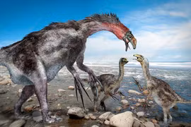 Loài khủng long kỳ lạ móng vuốt dài 30 cm, đầu nhỏ xíu