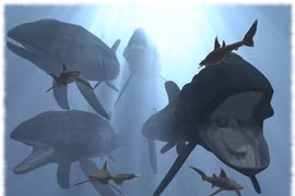 Choáng váng loài cá xương dài 16 mét, nặng hơn 40 tấn 