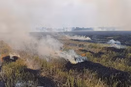 Người phụ nữ ở Cần Thơ bị ngạt khói tử vong khi đốt rơm rạ ngoài đồng