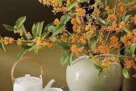 Cổ nhân dạy 'Nhà có cây lớn, đời sau không lo thiếu thốn'