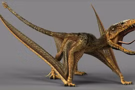 Tận mục loài thằn lằn bay cổ xưa nhất từng được phát hiện 
