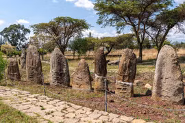 Bí ẩn chưa lời giải của bia đá cổ tại Tiya, Ethiopia