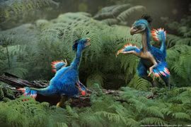 Loài khủng long tí hon cơ thể đầy lông vũ, có 'cánh' ở đuôi 