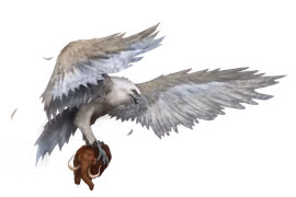 Sức mạnh khủng khiếp của loài chim có thể nhấc bổng voi 