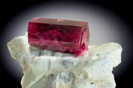 Ngọc quý 'độc bản' hiếm có khó tìm trên thế giới