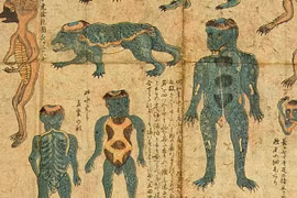 Quái vật lai giữa người và rùa, nhiều người Nhật Bản tin là có thật 