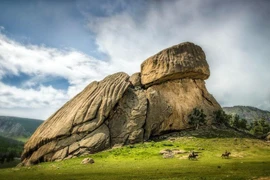 Kỳ thú vùng đất tập trung nhiều loài quý hiếm nhất Mông Cổ