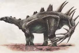 Choáng với loài khủng long dài 8 mét, cơ thể tua tủa gai nhọn 