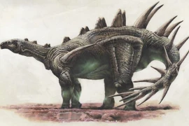 Choáng với loài khủng long dài 8 mét, cơ thể tua tủa gai nhọn 