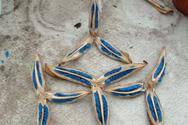 Chuối rẻ quạt, biểu tượng Madagascar với vẻ đẹp độc đáo