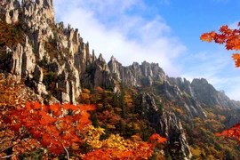 Top 10 Di sản thế giới mới hot nhất năm 2025 