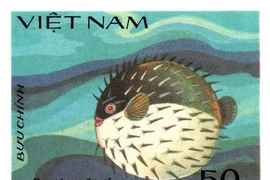 Cận cảnh loài cá 'khó nuốt' nhất hành tinh, không kẻ nào dám đụng