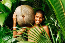 Kỳ lạ hạt cây lớn nhất thế giới: Nặng 25 kg, giống bộ phận cơ thể người 