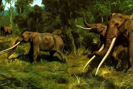 View - Khám phá địa điểm thiên văn cổ xưa nhất thế giới ở Ai Cập | Báo Tri thức và Cuộc sống - TIN TỨC PHỔ BIẾN KIẾN THỨC 24H