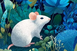 Đông chí cận kề, ba con giáp Thần Tài ban lộc giàu ú ụ