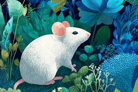 Đông chí cận kề, ba con giáp Thần Tài ban lộc giàu ú ụ