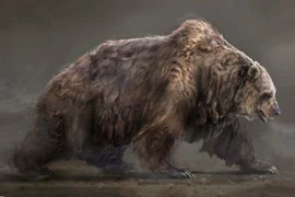 Tận mục loài gấu nặng hơn 1 tấn bị người xưa tận diệt 