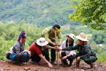 Lễ phát động trồng rừng hưởng ứng Ngày Quốc tế chống Sa mạc hóa và Hạn hán 17/6