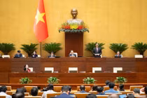 Thông qua Luật An ninh mạng, bảo vệ nhóm yếu thế trên không gian mạng