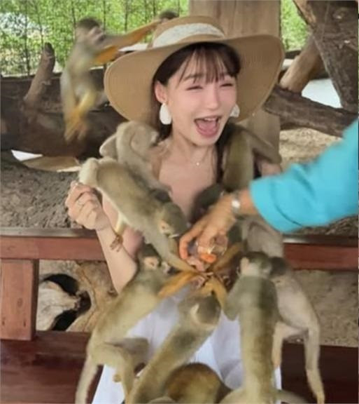 Tuy nhiên, niềm vui ngắn chẳng tày gang. Chỉ ít phút sau khoảnh khắc yên bình với lợn nước, Yuan Yuan đã bất ngờ bị một bầy khỉ con tinh nghịch “tập kích”.