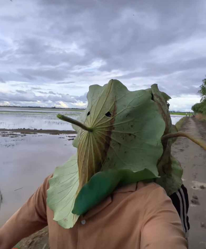 Một số phiên bản facekini còn được nâng cấp thời trang với họa tiết mặt nạ Kinh kịch hay hình ảnh Người Nhện. Thị trường đồ chống nắng tại Trung Quốc cũng từng ghi nhận nhiều sản phẩm độc lạ như mũ che nắng tích hợp ô, hay áo khoác gắn quạt mini dùng pin sạc.