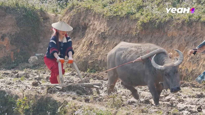 Đáng chú ý nhất là khi Ngọc Thanh Tâm trở thành cast nữ duy nhất trong show thực tế Gia Đình Ha Ha. Ban đầu, netizen vẫn phản đối sự xuất hiện của ái nữ nhà thuỷ sản vì cho rằng cô nàng không hợp vibe.