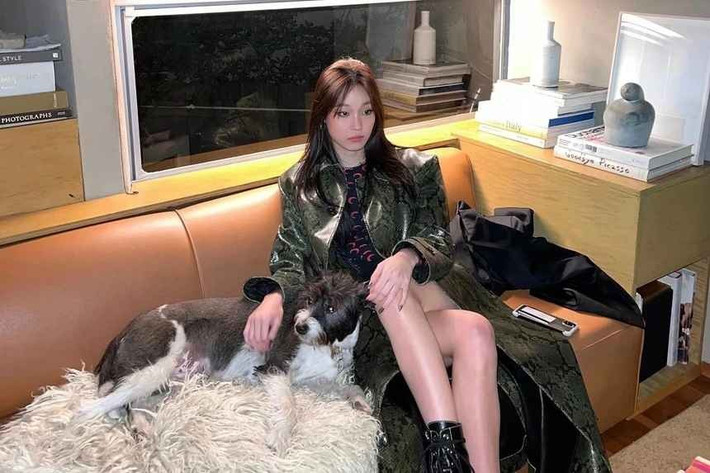Thay vì lựa chọn cuộc sống kín tiếng, làm kinh doanh như gia đình, Annie Moon quyết định theo đuổi sự nghiệp ca sĩ khi ra mắt trong nhóm nhạc Allday Project.