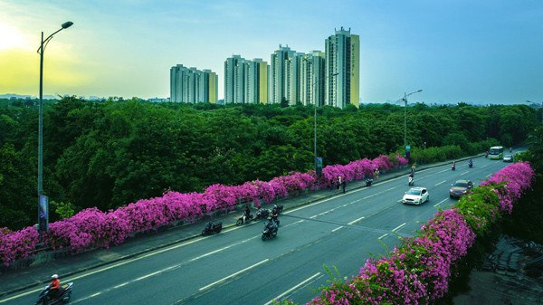 Trang phục nhẹ nhàng, màu sắc tươi sáng sẽ rất phù hợp với khung cảnh lãng mạn này. Bạn cũng đừng quên chọn những góc chụp độc đáo, kết hợp với ánh sáng tự nhiên để bức ảnh thêm phần ấn tượng.