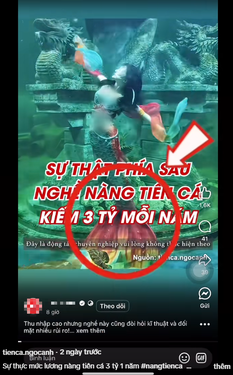 Cụ thể, tin đồn "nàng tiên cá" chuyên nghiệp có tên Ngọc Ánh kiếm được tới 130.000 đô la (khoảng 3 tỷ đồng) tùy thuộc vào kinh nghiệm được đăng tải trong một bài viết khiến cư dân mạng đồn đoán.
