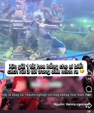Nàng hot girl tiên cá người Việt còn bông đùa: "Ai biết cách rút ra như thế nào thì mình xin gửi 1 tỷ hoa hồng".