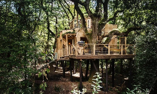 Mê mẩn ngắm ngôi nhà gỗ trên cây sang trọng ở Anh 