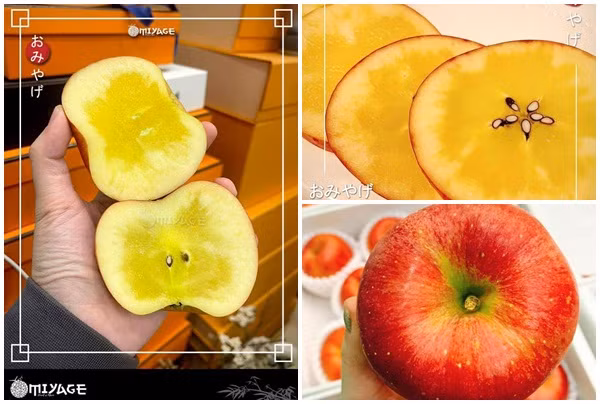 Bật mí loại táo mật Nhật Bản nhà giàu Việt "đổ" tiền tỷ mua tẩm bổ