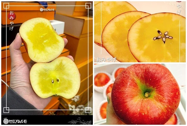 Bật mí loại táo mật Nhật Bản nhà giàu Việt "đổ" tiền tỷ mua tẩm bổ